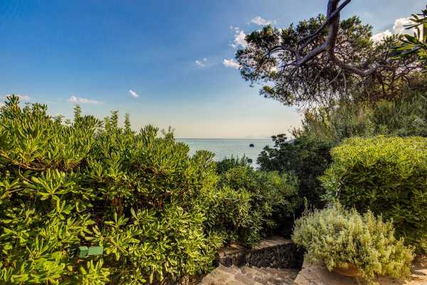 Book now your holiday in Ischia in Campania in this wonderful private villa with pool on the sea in Ischia in the province of Naples in Campania 4