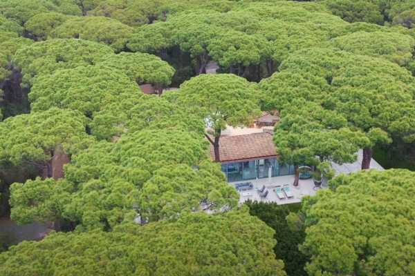 private villa by the sea for rent in Castiglione della Pescaia with swimming pool and large private park and exclusive place on the beach 21
