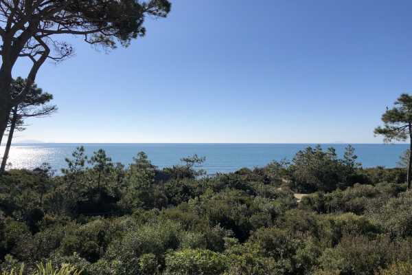 private villa by the sea for rent in Castiglione della Pescaia with swimming pool and large private park and exclusive place on the beach 2