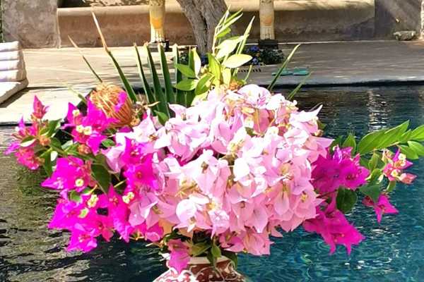 Holidays in Capri in a house for rent with swimming pool and Jacvuzzi and sea view of the Faraglioni 13