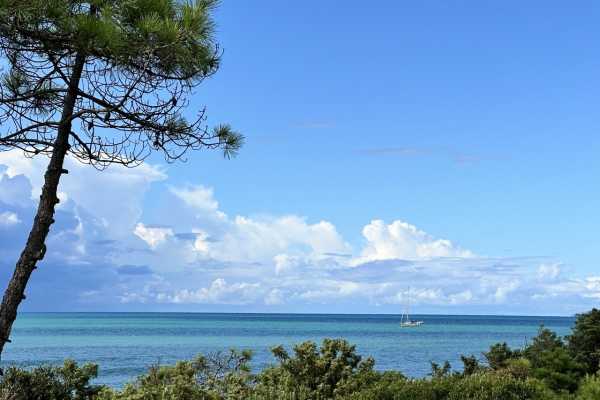 villa for rent for vacation with swimming pool, park and private and exclusive beach place in the Roccamare pine forest 4