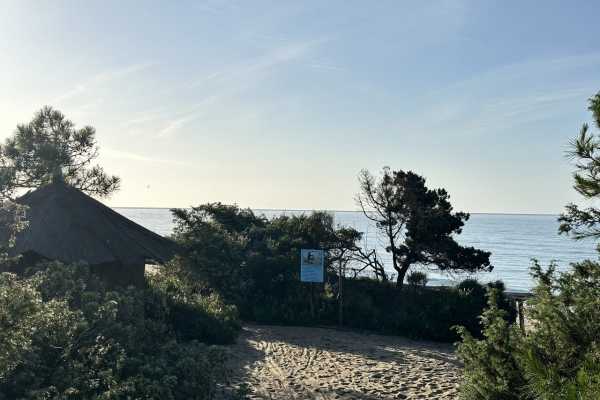 villa for rent for vacation with swimming pool, park and private and exclusive beach place in the Roccamare pine forest 24