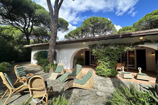 villa for rent for vacation with swimming pool, park and private and exclusive beach place in the Roccamare pine forest 9