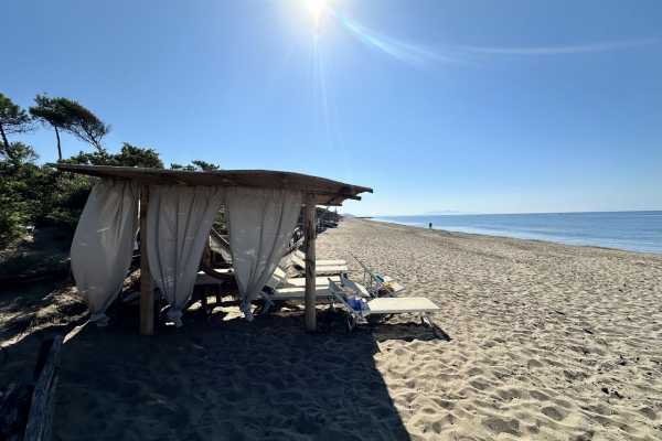 villa for rent for vacation with swimming pool, park and private and exclusive beach place in the Roccamare pine forest 5