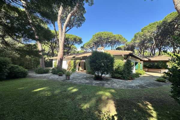 villa for rent for vacation with swimming pool, park and private and exclusive beach place in the Roccamare pine forest 13